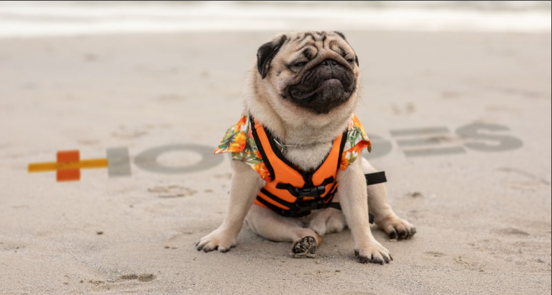 Mentone/ Chelsea News – Spring 2021