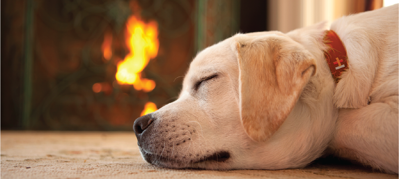 Mentone News – 2024